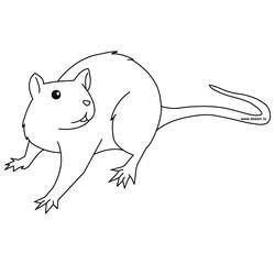 Malvorlage: Ratte (Tiere) #15167 - Kostenlose Malvorlagen zum Ausdrucken