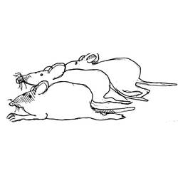 Malvorlage: Ratte (Tiere) #15168 - Kostenlose Malvorlagen zum Ausdrucken