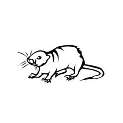 Malvorlage: Ratte (Tiere) #15200 - Kostenlose Malvorlagen zum Ausdrucken