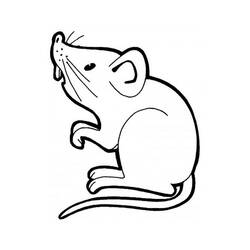 Zeichnungen zum Ausmalen: Ratte - Druckbare Malvorlagen