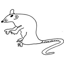 Malvorlage: Ratte (Tiere) #15242 - Kostenlose Malvorlagen zum Ausdrucken