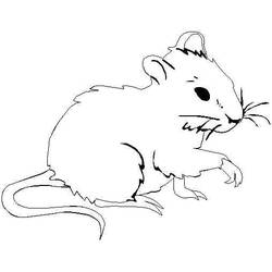 Malvorlage: Ratte (Tiere) #15249 - Kostenlose Malvorlagen zum Ausdrucken