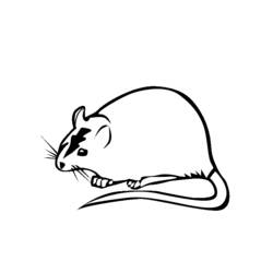 Malvorlage: Ratte (Tiere) #15255 - Kostenlose Malvorlagen zum Ausdrucken