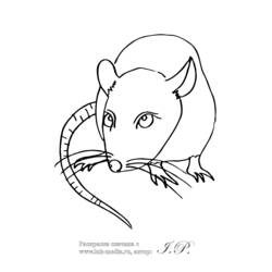 Malvorlage: Ratte (Tiere) #15264 - Kostenlose Malvorlagen zum Ausdrucken