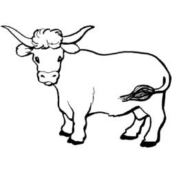 Malvorlage: Rindfleisch (Tiere) #1342 - Kostenlose Malvorlagen zum Ausdrucken
