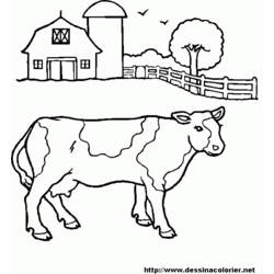 Malvorlage: Rindfleisch (Tiere) #1347 - Kostenlose Malvorlagen zum Ausdrucken