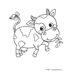 Malvorlage: Rindfleisch (Tiere) #1375 - Kostenlose Malvorlagen zum Ausdrucken