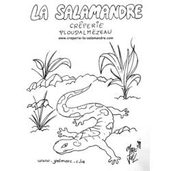 Malvorlage: Salamander (Tiere) #19893 - Druckbare Malvorlagen
