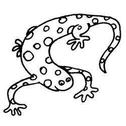 Malvorlage: Salamander (Tiere) #19895 - Druckbare Malvorlagen