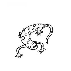 Malvorlage: Salamander (Tiere) #19905 - Druckbare Malvorlagen