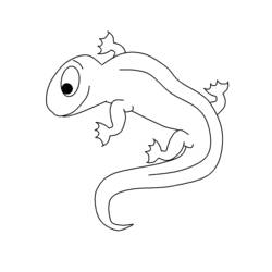 Malvorlage: Salamander (Tiere) #19906 - Druckbare Malvorlagen