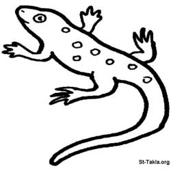 Malvorlage: Salamander (Tiere) #19911 - Druckbare Malvorlagen