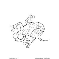 Malvorlage: Salamander (Tiere) #19944 - Druckbare Malvorlagen