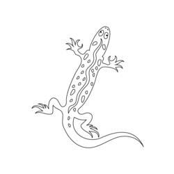 Malvorlage: Salamander (Tiere) #19946 - Druckbare Malvorlagen