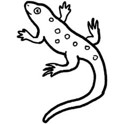 Malvorlage: Salamander (Tiere) #19975 - Druckbare Malvorlagen