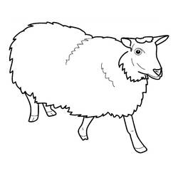 Malvorlage: Schaf (Tiere) #11396 - Kostenlose Malvorlagen zum Ausdrucken