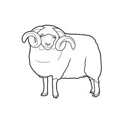 Malvorlage: Schaf (Tiere) #11401 - Kostenlose Malvorlagen zum Ausdrucken