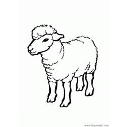 Malvorlage: Schaf (Tiere) #11409 - Kostenlose Malvorlagen zum Ausdrucken