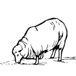 Malvorlage: Schaf (Tiere) #11410 - Kostenlose Malvorlagen zum Ausdrucken