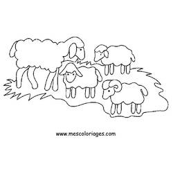 Malvorlage: Schaf (Tiere) #11414 - Kostenlose Malvorlagen zum Ausdrucken