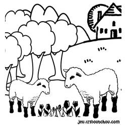 Malvorlage: Schaf (Tiere) #11416 - Kostenlose Malvorlagen zum Ausdrucken