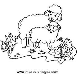Malvorlage: Schaf (Tiere) #11436 - Kostenlose Malvorlagen zum Ausdrucken