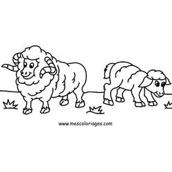 Malvorlage: Schaf (Tiere) #11456 - Kostenlose Malvorlagen zum Ausdrucken