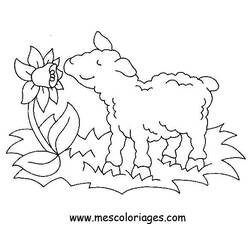Malvorlage: Schaf (Tiere) #11458 - Kostenlose Malvorlagen zum Ausdrucken