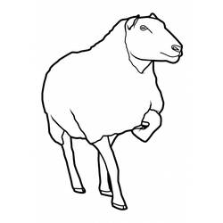 Malvorlage: Schaf (Tiere) #11460 - Kostenlose Malvorlagen zum Ausdrucken