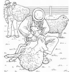 Malvorlage: Schaf (Tiere) #11461 - Kostenlose Malvorlagen zum Ausdrucken