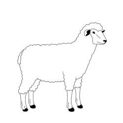 Malvorlage: Schaf (Tiere) #11471 - Kostenlose Malvorlagen zum Ausdrucken