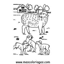 Malvorlage: Schaf (Tiere) #11474 - Kostenlose Malvorlagen zum Ausdrucken