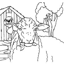 Malvorlage: Schaf (Tiere) #11479 - Kostenlose Malvorlagen zum Ausdrucken