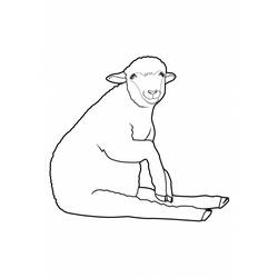 Malvorlage: Schaf (Tiere) #11492 - Kostenlose Malvorlagen zum Ausdrucken