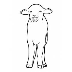 Malvorlage: Schaf (Tiere) #11496 - Kostenlose Malvorlagen zum Ausdrucken