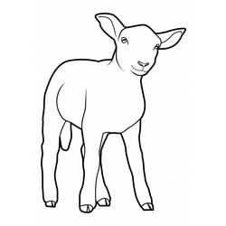 Malvorlage: Schaf (Tiere) #11502 - Kostenlose Malvorlagen zum Ausdrucken