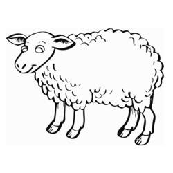 Malvorlage: Schaf (Tiere) #11503 - Kostenlose Malvorlagen zum Ausdrucken