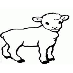 Malvorlage: Schaf (Tiere) #11505 - Kostenlose Malvorlagen zum Ausdrucken