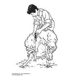Malvorlage: Schaf (Tiere) #11511 - Kostenlose Malvorlagen zum Ausdrucken