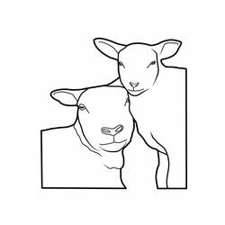 Malvorlage: Schaf (Tiere) #11514 - Kostenlose Malvorlagen zum Ausdrucken