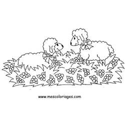 Malvorlage: Schaf (Tiere) #11516 - Kostenlose Malvorlagen zum Ausdrucken