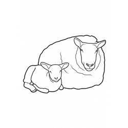 Malvorlage: Schaf (Tiere) #11521 - Kostenlose Malvorlagen zum Ausdrucken