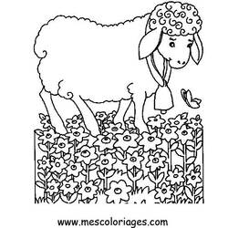 Malvorlage: Schaf (Tiere) #11533 - Kostenlose Malvorlagen zum Ausdrucken