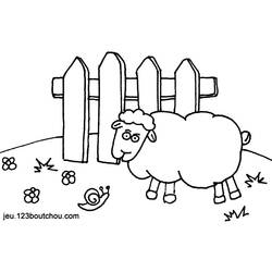 Malvorlage: Schaf (Tiere) #11539 - Kostenlose Malvorlagen zum Ausdrucken