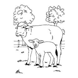 Malvorlage: Schaf (Tiere) #11544 - Kostenlose Malvorlagen zum Ausdrucken