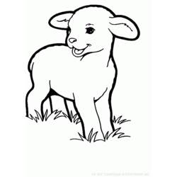 Malvorlage: Schaf (Tiere) #11548 - Kostenlose Malvorlagen zum Ausdrucken