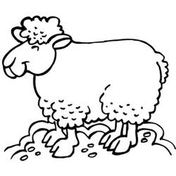 Malvorlage: Schaf (Tiere) #11571 - Kostenlose Malvorlagen zum Ausdrucken