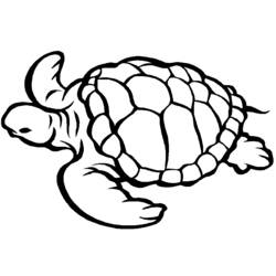 Malvorlage: Schildkröte (Tiere) #13390 - Kostenlose Malvorlagen zum Ausdrucken