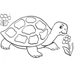 Malvorlage: Schildkröte (Tiere) #13391 - Kostenlose Malvorlagen zum Ausdrucken