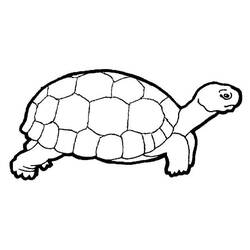 Malvorlage: Schildkröte (Tiere) #13394 - Kostenlose Malvorlagen zum Ausdrucken